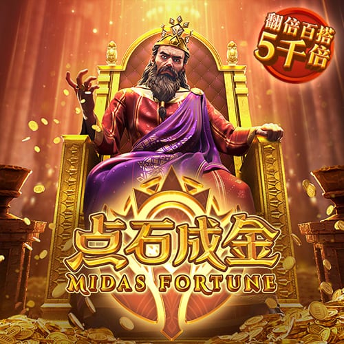 333体育网址